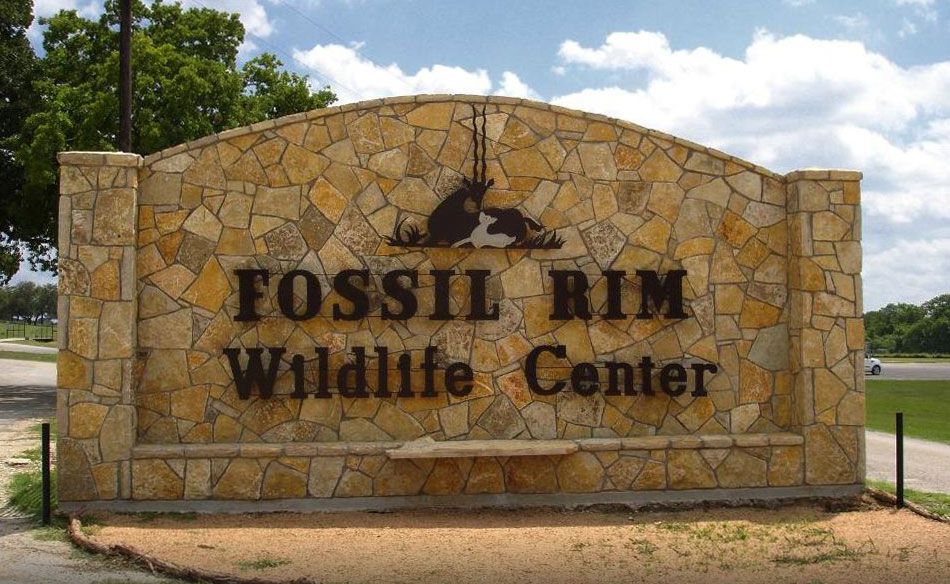 Fossil Rim Wildlife Center Hours and Ticket Prices | Tour Texas