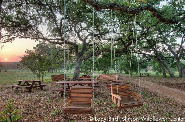 Lady Bird Johnson Wildflower Center Wedding in Austin, Texas