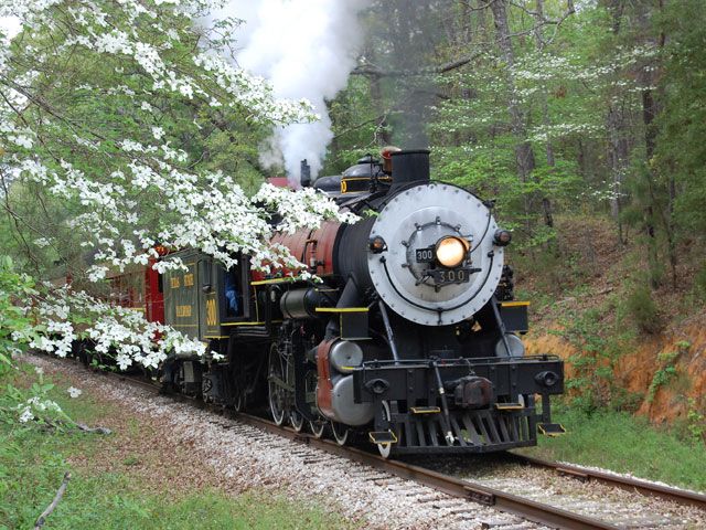 Piney Woods Express Steam