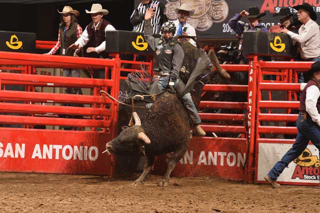 San Antonio Stock Show and Rodeo | Tour Texas