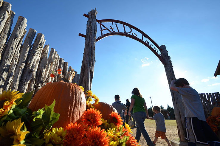 6 Ways to Celebrate Fall that You&rsquo;ll Only Find in Lubbock | Tour Texas