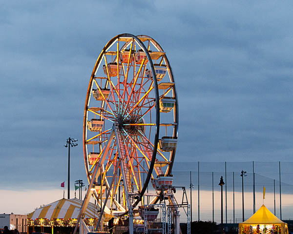 ferris wheel the colony