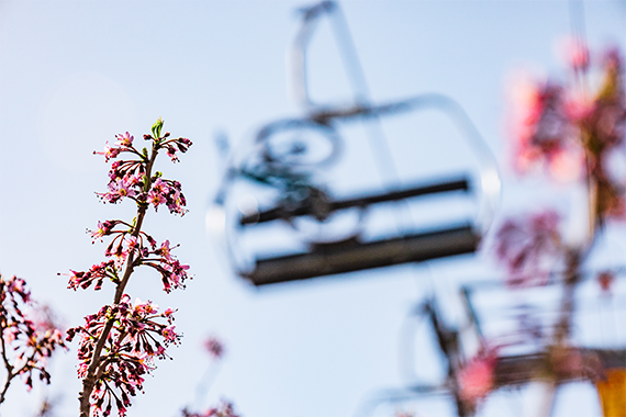 Burnet County, Texas