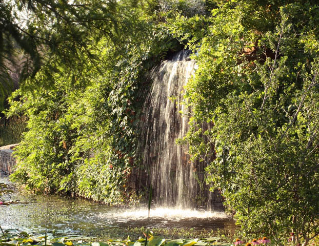 Clark Gardens Botanical Park in Weatherford | Tour Texas