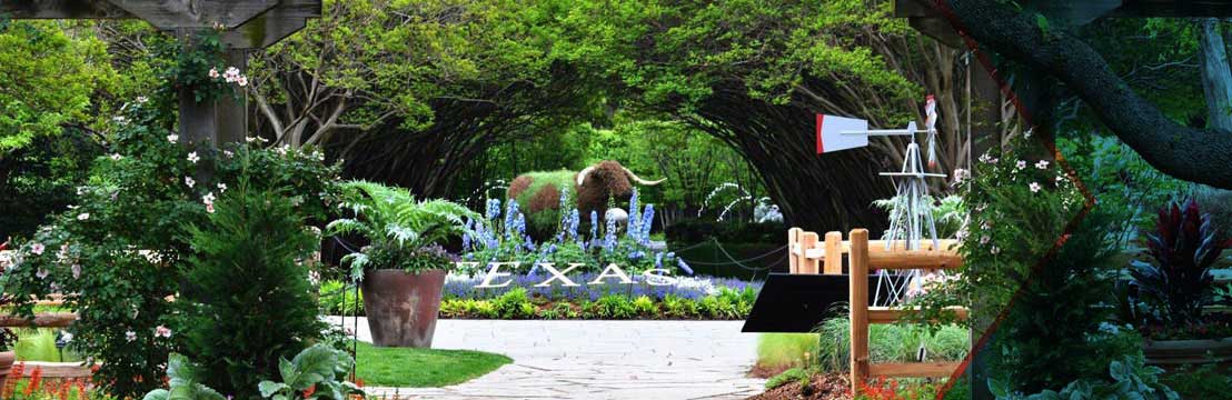 Rose Mary Haggar Rose Garden