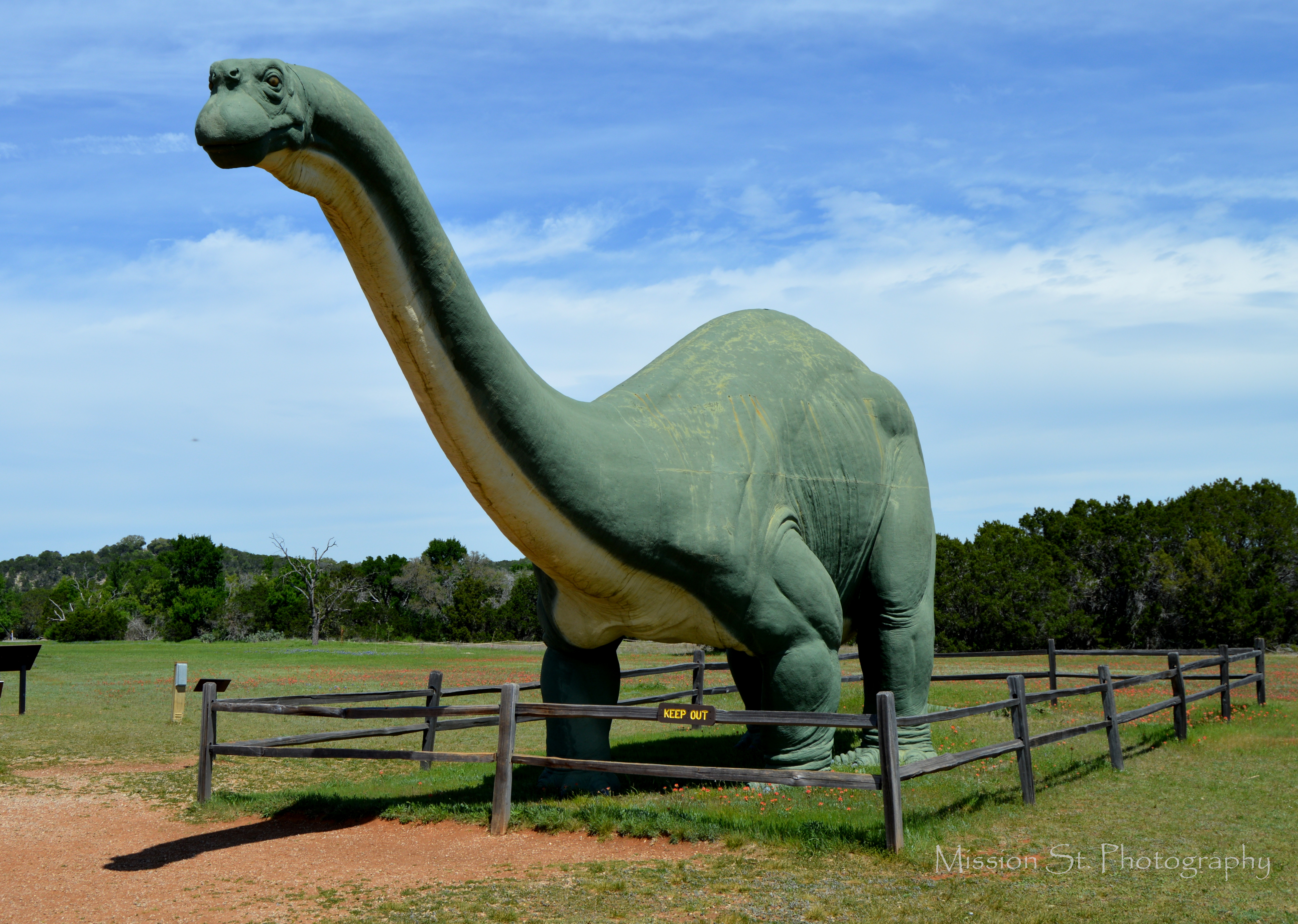 dinosaur glen rose