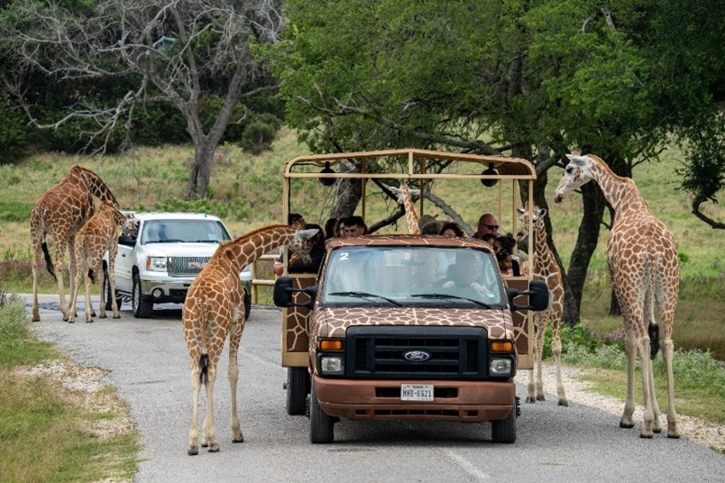 fossil rim