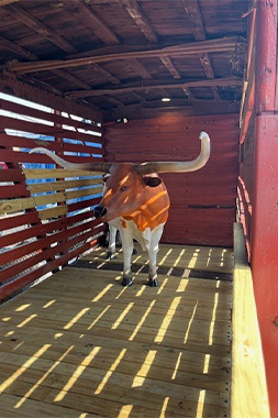 Galveston Railroad Museum