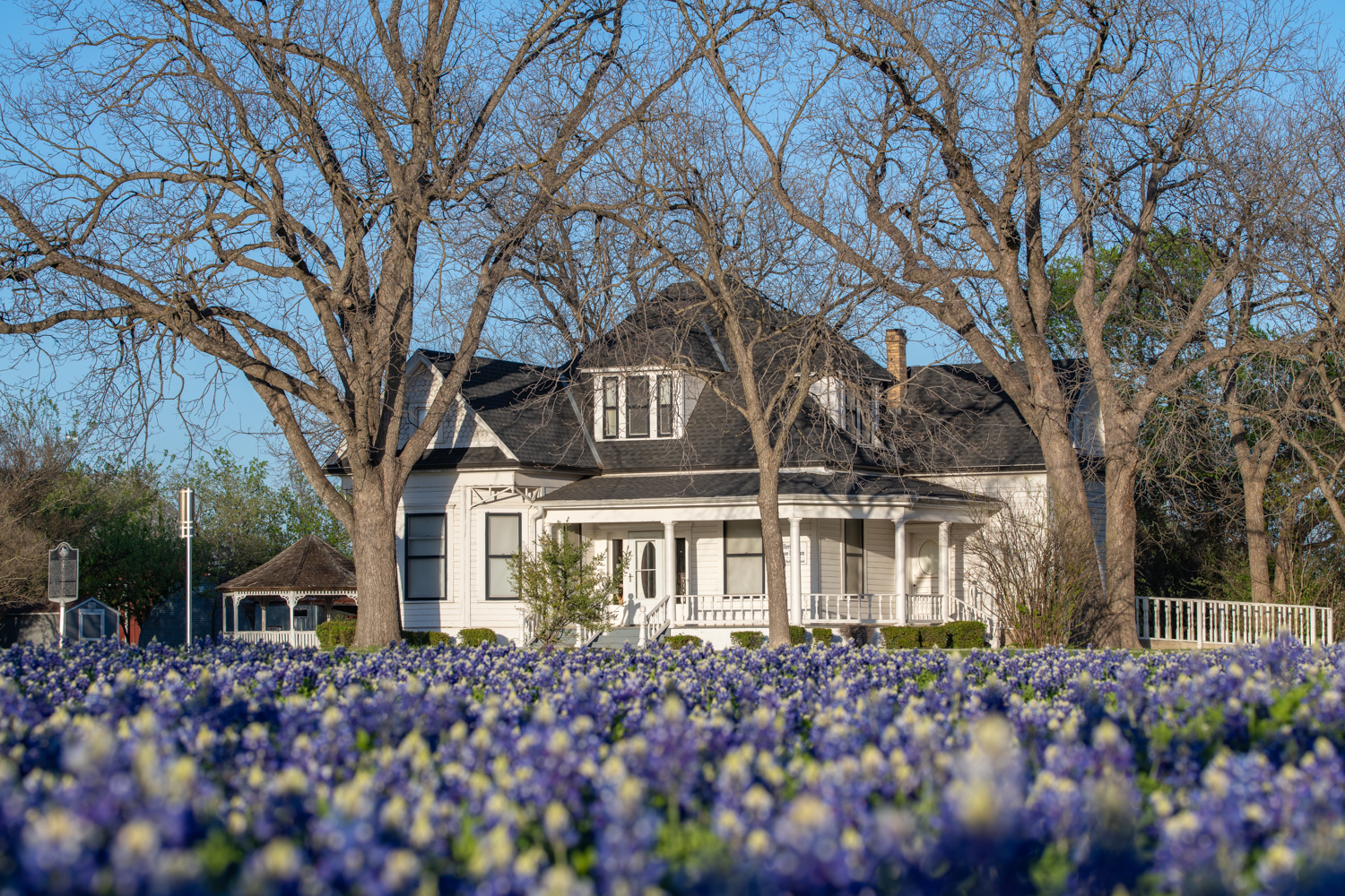 pflugerville museum