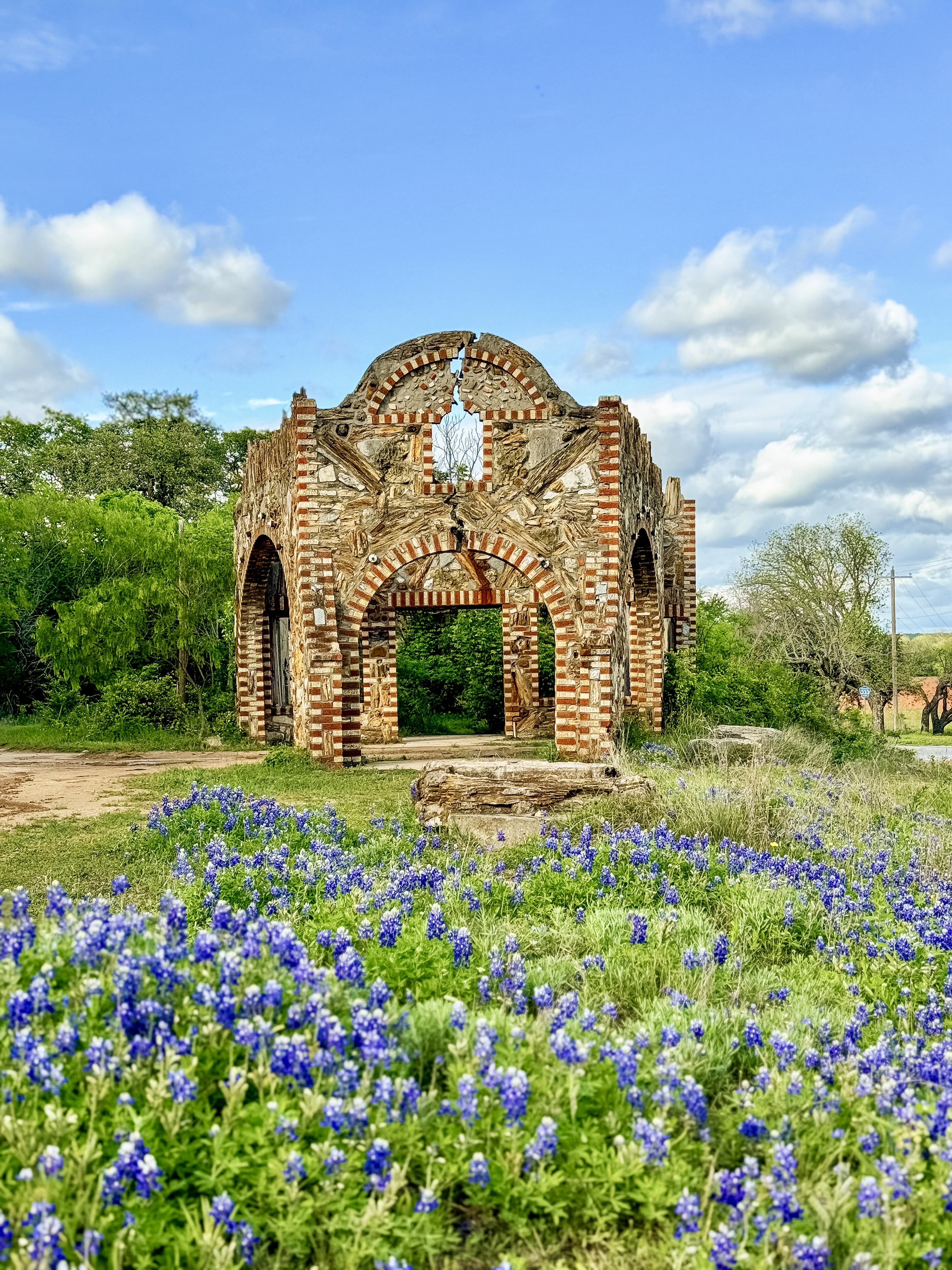 bluebonnets glen rose