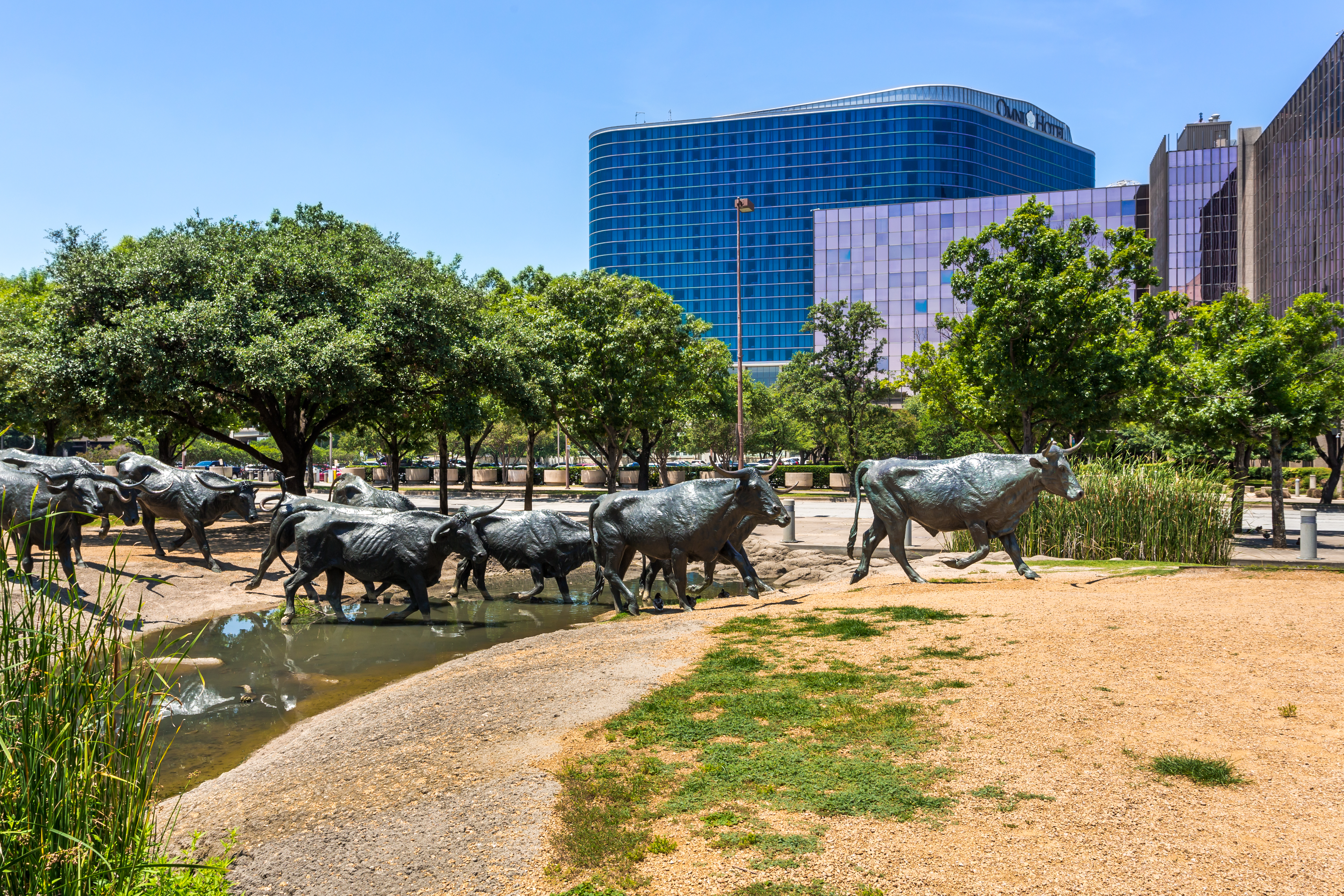 50 free things to do in dallas