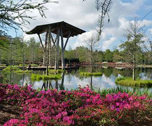 Shangri La Botanical Gardens & Nature Center in Orange