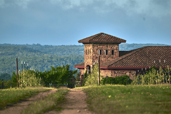 Texas Hill Country Olive Co.