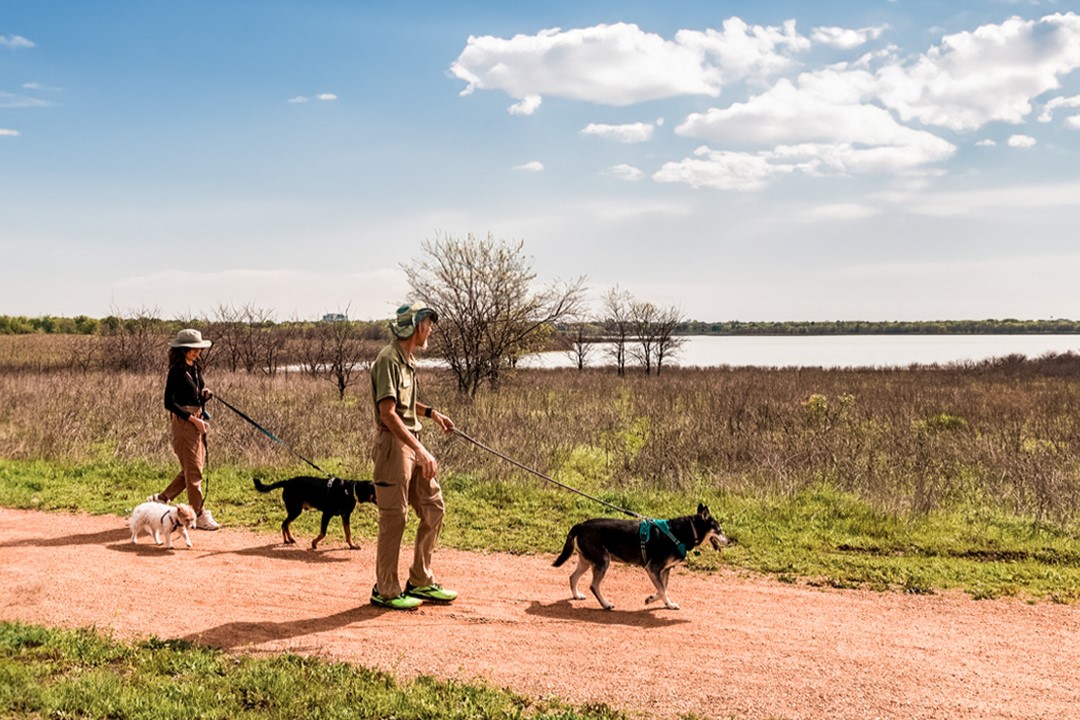 The Colony, Texas