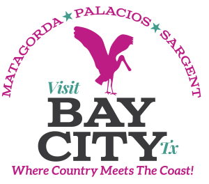 Visit Bay City Logo