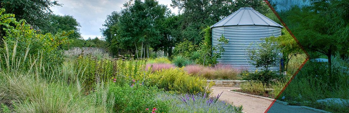 Plant a Wildflower Meadow - Lady Bird Johnson Wildflower Center