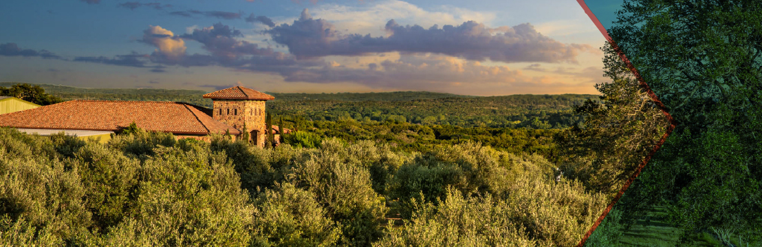 Texas Hill Country Olive Co. Italian Bread Dipping Spices