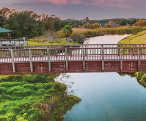 Aransas Pathways
